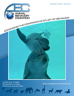 Bubble Trails, Bursts, Rings, and More: A Review of Multiple Bubble Types  Produced by Cetaceans — Animal Behavior and Cognition