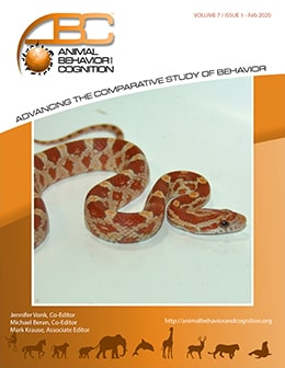Effects of Habitat Modifications on Behavioral Indicators of Welfare for  Madagascar Giant Hognose Snakes (Leioheterodon madagascariensis) — Animal  Behavior and Cognition
