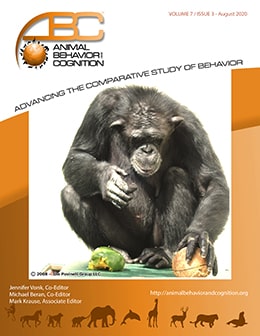Can Asian Elephants Use Water as a Tool in the Floating Object Task? — Animal  Behavior and Cognition