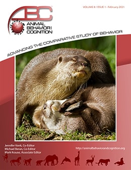 A Short Report on the Extent of Stone Handling Behavior Across Otter  Species — Animal Behavior and Cognition